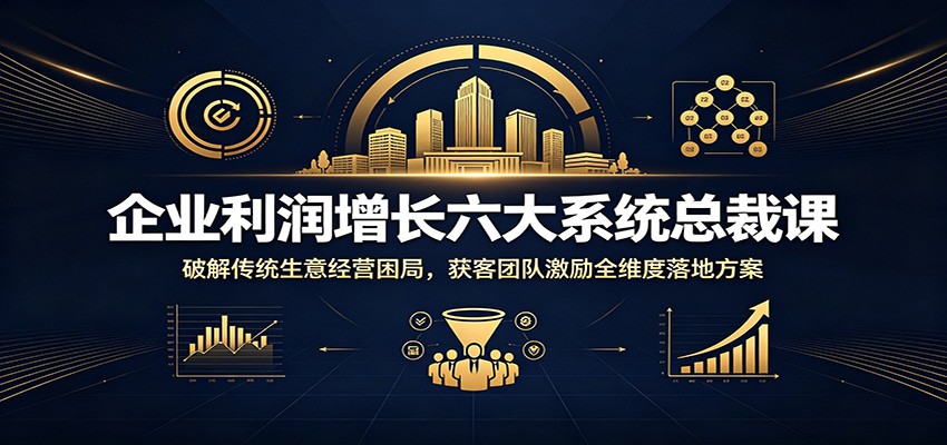 企业利润增长六大系统总裁课:破解传统生意经营困局,获客团队激励全维度落地方案-网赚副业网