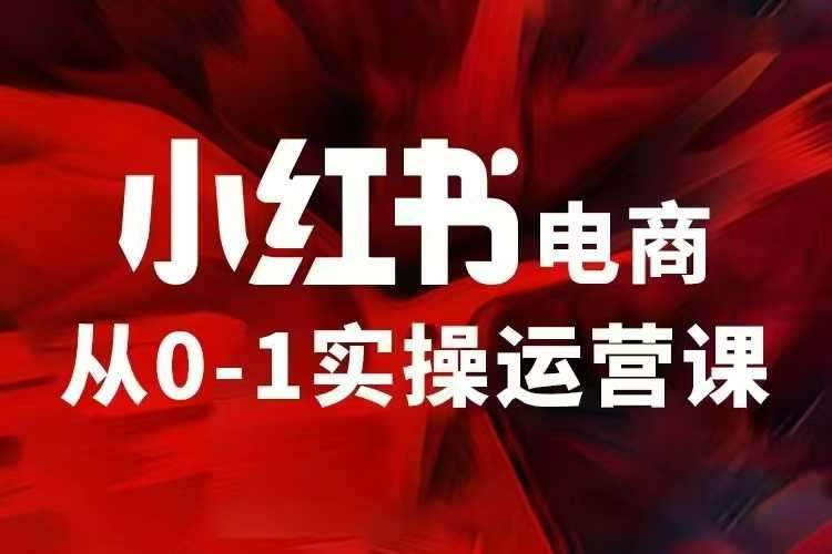 小红书电商运营,97节小红书vip内部课,带你实现小红书赚钱-网赚副业网