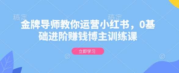 金牌导师教你运营小红书,0基础进阶赚钱博主训练课-网赚副业网