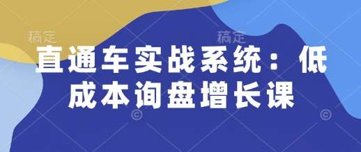 直通车实战系统:低成本询盘增长课,让个人通过技能实现升职加薪,让企业低成本获客,订单源源不断-网赚副业网