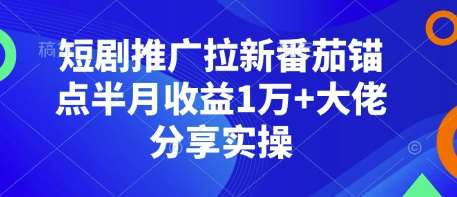 短剧推广拉新番茄锚点半月收益1万+大佬分享实操-网赚副业网