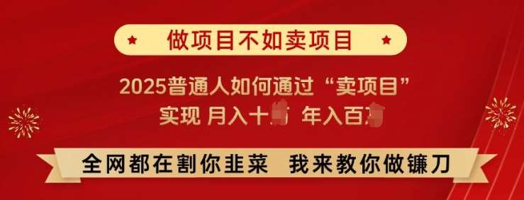 必看!做项目不如卖项目,2025普通人如何通过“卖项目”实现月入十个,年入百个【揭秘】-网赚副业网