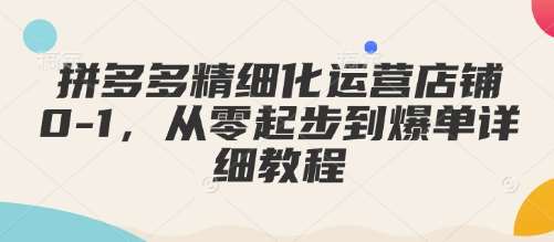 拼多多精细化运营店铺0-1,从零起步到爆单详细教程-网赚副业网