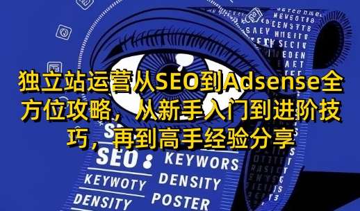 独立站运营从SEO到Adsense全方位攻略,从新手入门到进阶技巧,再到高手经验分享-网赚副业网