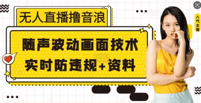 无人直播撸音浪+随声波动画面技术+实时防违规+资料【揭秘】-网赚副业网