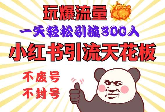 小红书引流天花板,玩爆流量,一天轻松引流300人,安全操作-网赚副业网