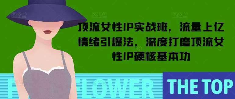 顶流女性IP实战班,流量上亿情绪引爆法,深度打磨顶流女性IP硬核基本功-网赚副业网
