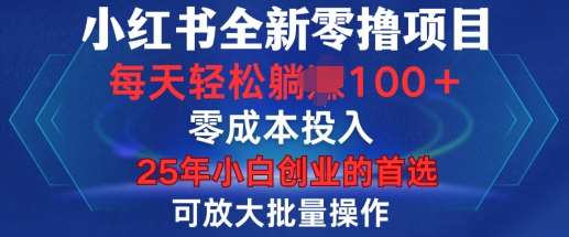 小红书全新纯零撸项目,只要有号就能玩,可放大批量操作,轻松日入100+【揭秘】-网赚副业网