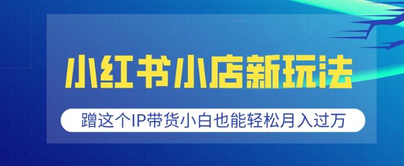 小红书小店新玩法,蹭这个IP带货,小白也能轻松月入过W【揭秘】-网赚副业网