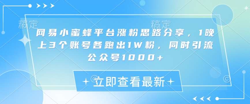 网易小蜜蜂平台涨粉思路分享,1晚上3个账号各跑出1W粉,同时引流公众号1000+-网赚副业网