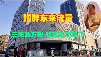 蹭胖东来流量,三天涨万粉,收益直接起飞-网赚副业网