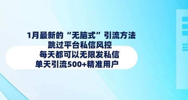 1月最新的无脑式引流方法,跳过平台私信风控,每天都可以无限发私信,单天引流500+精准用户-网赚副业网