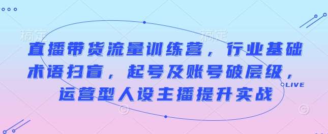 直播带货流量训练营,行业基础术语扫盲,起号及账号破层级,运营型人设主播提升实战-网赚副业网
