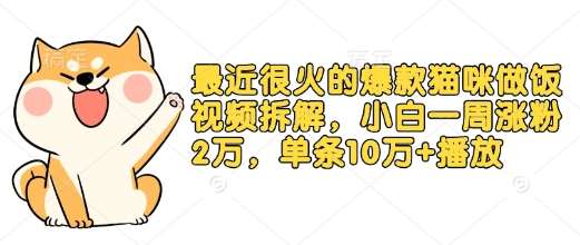 最近很火的爆款猫咪做饭视频拆解,小白一周涨粉2万,单条10万+播放(附保姆级教程)-网赚副业网