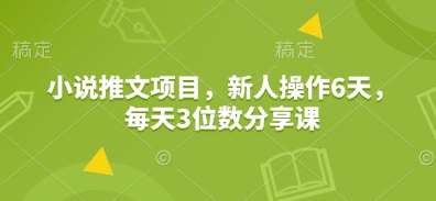小说推文项目,新人操作6天,每天3位数分享课-网赚副业网