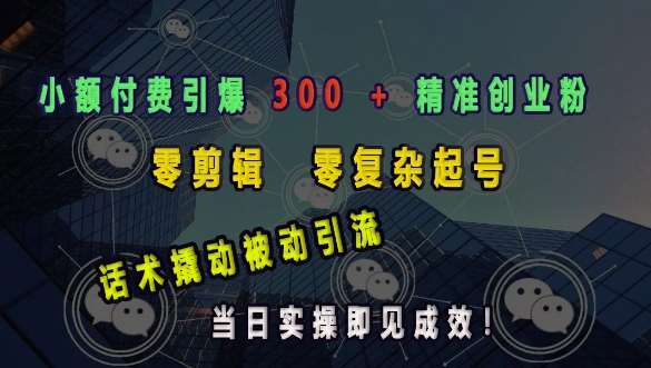 小额付费引爆 300 + 精准创业粉,零剪辑、零复杂起号,话术撬动被动引流,当日实操即见成效-网赚副业网