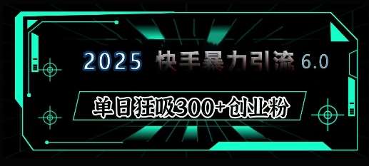 2025年快手6.0保姆级教程震撼来袭,单日狂吸300+精准创业粉-网赚副业网