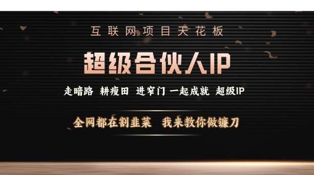 互联网项目天花板,超级合伙人IP,全网都在割韭菜,我来教你做镰刀【仅揭秘】-网赚副业网