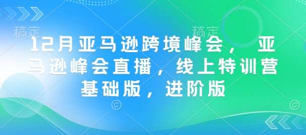 12月亚马逊跨境峰会， 亚马逊峰会直播，线上特训营基础版，进阶版-网赚副业网