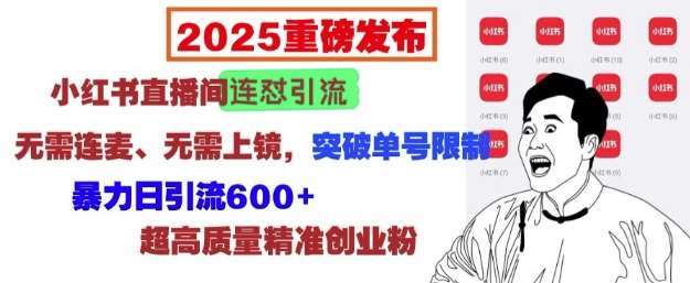2025重磅发布：小红书直播间连怼引流，无需连麦、无需上镜，突破单号限制，暴力日引流600+-网赚副业网