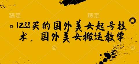 1288买的国外美女起号技术,国外美女搬运教学-网赚副业网