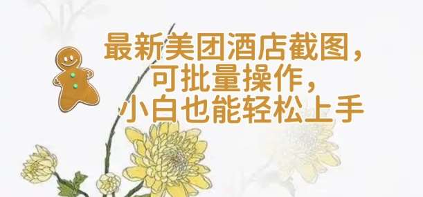 【轻云】最新美团酒店截图,可批量操作,小白也能轻松上手-网赚副业网