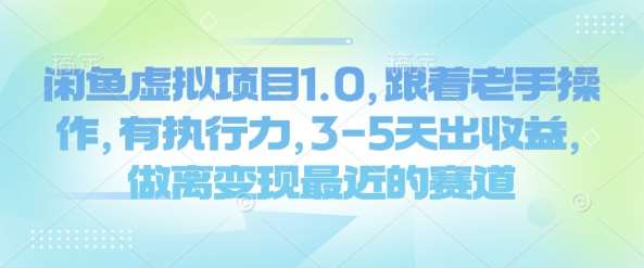 闲鱼虚拟项目1.0,跟着老手操作,有执行力,3-5天出收益,做离变现最近的赛道-网赚副业网