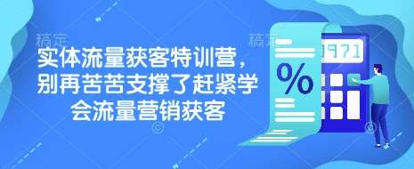 实体流量获客特训营,别再苦苦支撑了赶紧学会流量营销获客-网赚副业网
