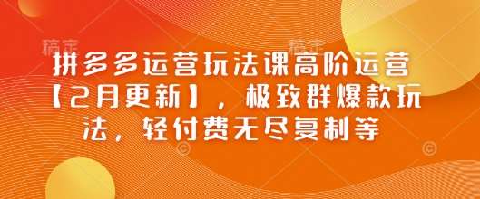 拼多多运营玩法课高阶运营【2月更新】,极致群爆款玩法,轻付费无尽复制等-网赚副业网