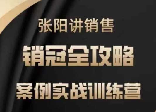 张阳讲销售实战训练营,案例实战训练,销冠全攻略-网赚副业网