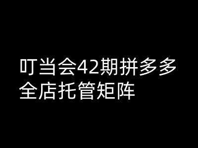 叮当会拼多多打爆班原创高阶技术第42期,拼多多全店托管矩阵-网赚副业网