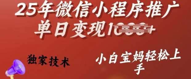 25年微信小程序推广单日变现多张,独家技术,小白宝妈轻松上手【揭秘】-网赚副业网