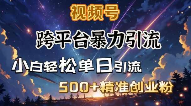 跨平台暴力引流,私域完美闭环,日引500+精准创业粉-网赚副业网