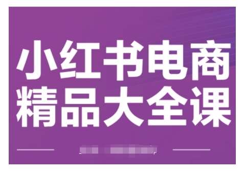 小红书电商精品大全课,快速掌握小红书运营技巧,实现精准引流与爆单目标,轻松玩转小红书电商-网赚副业网