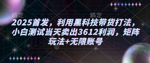 2025首发,利用黑科技带货打法,小白测试当天卖出3612利润,矩阵玩法+无限账号【揭秘】-网赚副业网