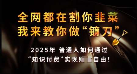 知识付费如何做到月入过W+,2025我来教你做“镰刀”【揭秘】-网赚副业网