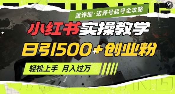 2月小红书最新日引500+创业粉实操教学【超详细】小白轻松上手,月入1W+,附小红书养号起号SOP-网赚副业网