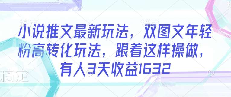 小说推文最新玩法，双图文年轻粉高转化玩法，跟着这样操做，有人3天收益1632-网赚副业网