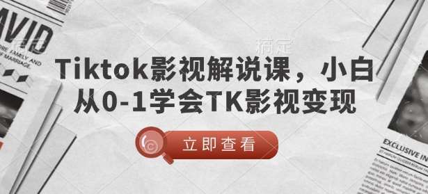 TikTok影视解说课,小白从0-1学会TK影视变现-网赚副业网