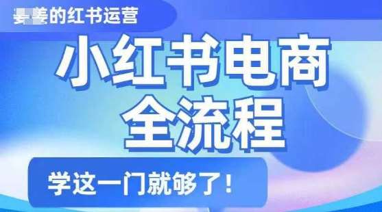 小红书电商全流程,精简易懂,从入门到精通,学这一门就够了-网赚副业网