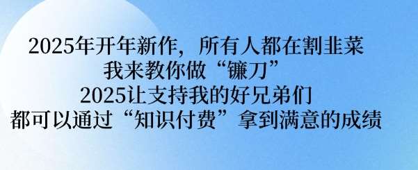 2025年开年新作,所有人都在割韭菜,我来教你做“镰刀” 2025让支持我的好兄弟们都可以通过“知识付费”拿到满意的成绩【揭秘】-网赚副业网