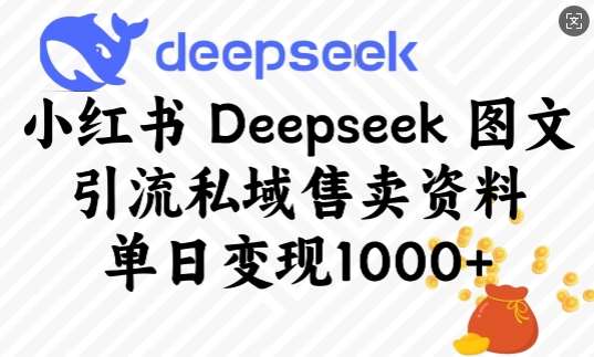 小红书Deepseek图文引流私域售卖资料,单日变现多张-网赚副业网