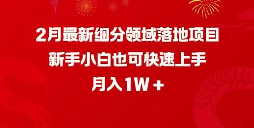 2月最新细分领域落地项目，新手小白也可快速上手，月入1W-网赚副业网