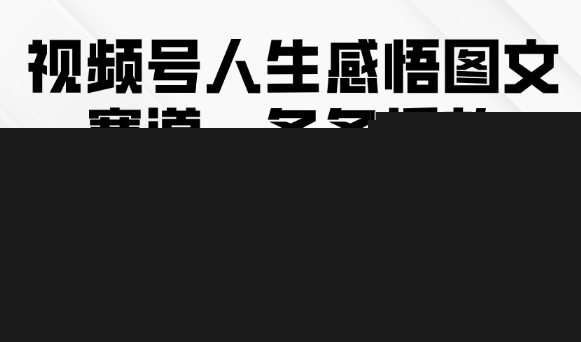 视频号人生感悟图文赛道,条条播放10w+,这个方法做视频号太牛了-网赚副业网