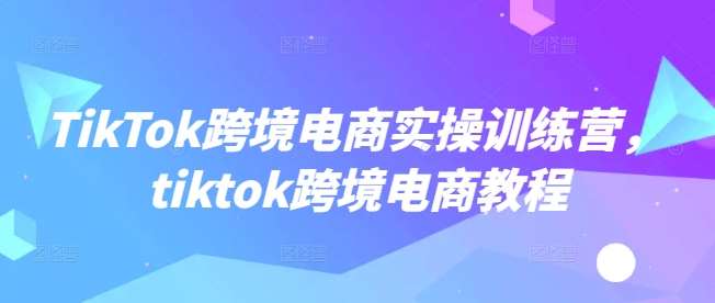 TikTok跨境电商实操训练营,tiktok跨境电商教程-网赚副业网