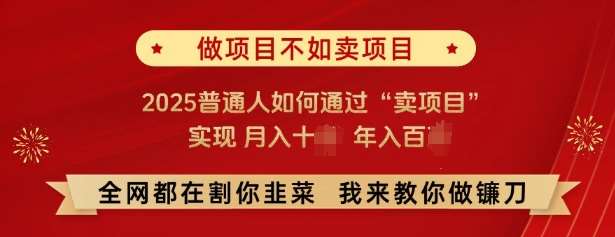 必看,做项目不如卖项目,2025普通人如何通过“卖项目”实现月入十个,年入百个-网赚副业网