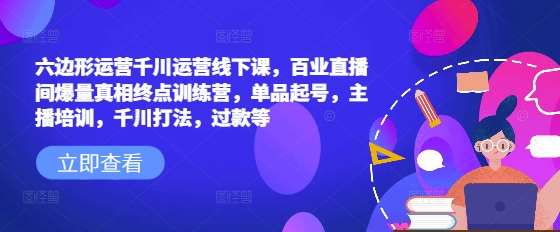 六边形运营千川运营线下课,百业直播间爆量真相终点训练营,单品起号,主播培训,千川打法,过款等-网赚副业网
