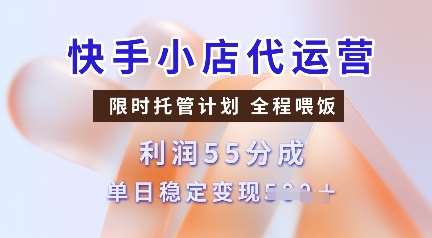 快手小店代运营,限时托管计划,收益55分,单日稳定变现多张【揭秘】-网赚副业网