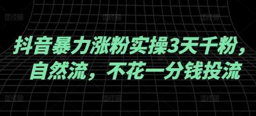 抖音暴力涨粉实操3天千粉,自然流,不花一分钱投流,实操经验分享-网赚副业网