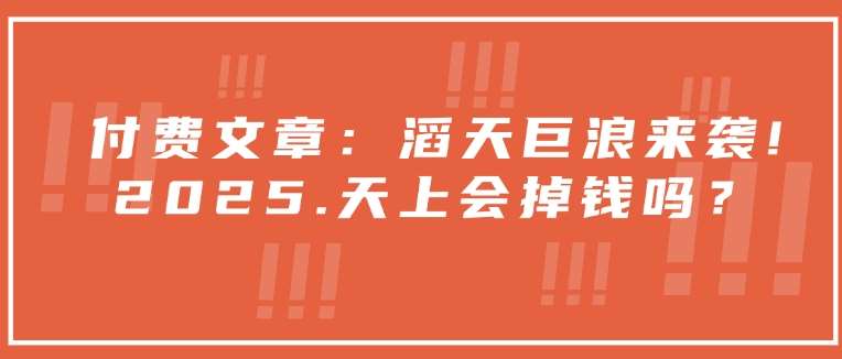 付费文章:滔天巨浪来袭!2025天上会掉钱吗?-网赚副业网